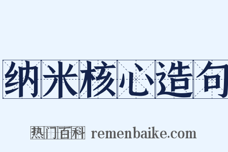 纳米核心造句是什么意思的图片